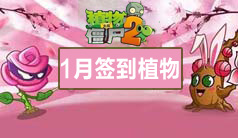 植物大战僵尸2一月签到植物介绍 十里花圃春满园