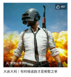 吃鸡游戏合辑