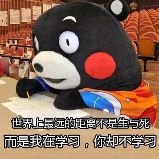 日本知名吉祥物“熊本熊”推出TV动画
