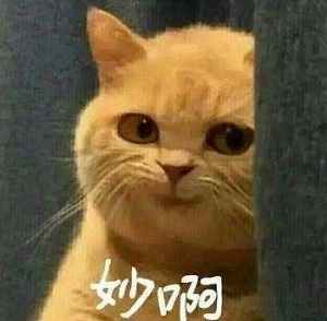 螺旋圆舞曲