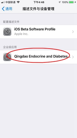 炫斗英雄果盘