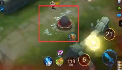 bug