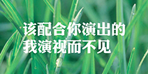 「快爆小百科」— 演员