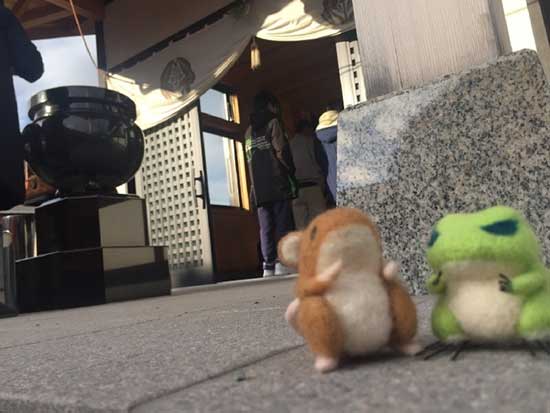 日本玩家自制《旅行青蛙》玩偶 还带他们出去旅行!