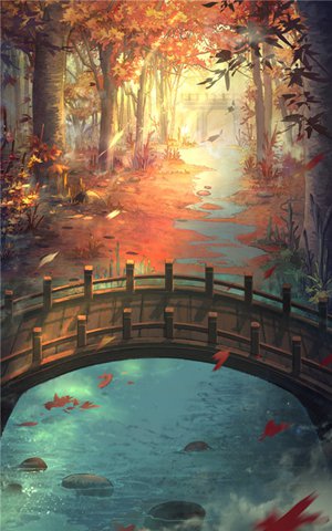 光之契约
