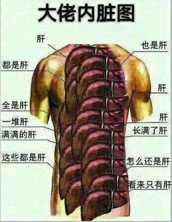 大佬内脏图