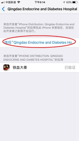 铁血大秦果盘版