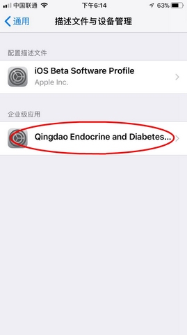 铁血大秦果盘版