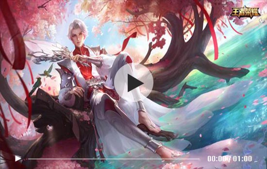 武陵仙君皮肤视频