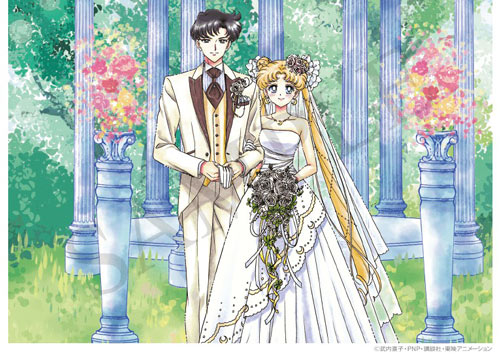 美少女战士结婚申请书
