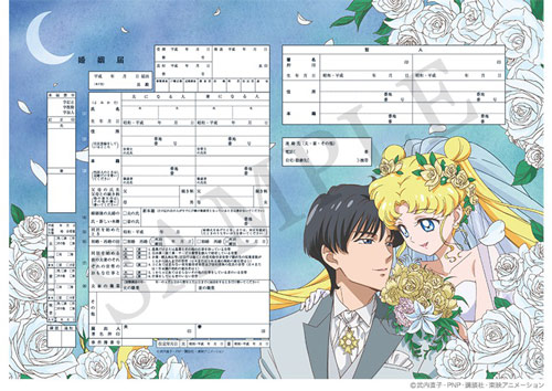 美少女战士结婚申请书