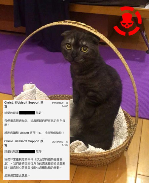 猫咪误删存档