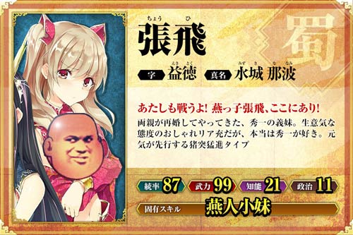 真·三国志妹