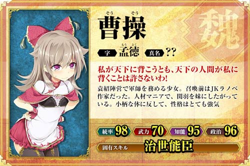 真·三国志妹