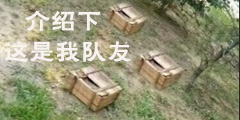 「快爆小百科」— 落地成盒