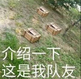 「快爆小百科」— 落地成盒