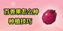 怎么种植百香果 百香果怎么种