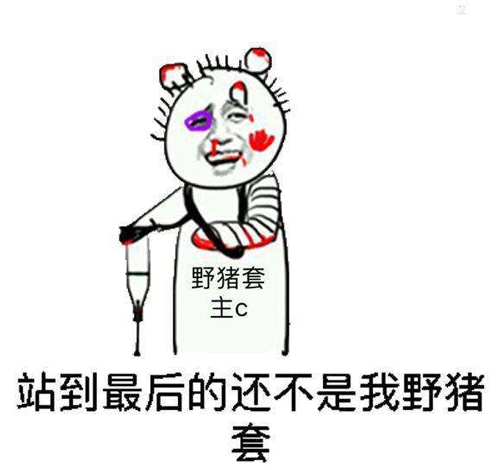 假猪套天下第一
