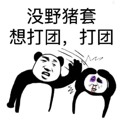 假猪套天下第一