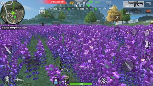 荒岛特训