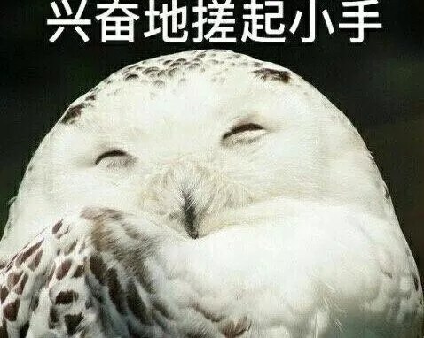 荒野行动更新