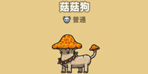 黑暗料理王菇菇狗