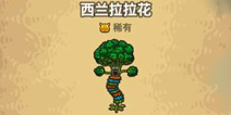 黑暗料理王西兰花