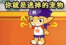 逃掉的宠物