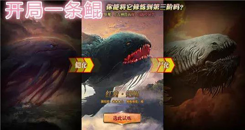 巨鲲