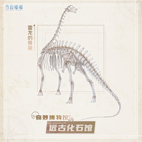 奇迹暖暖博物馆玩法