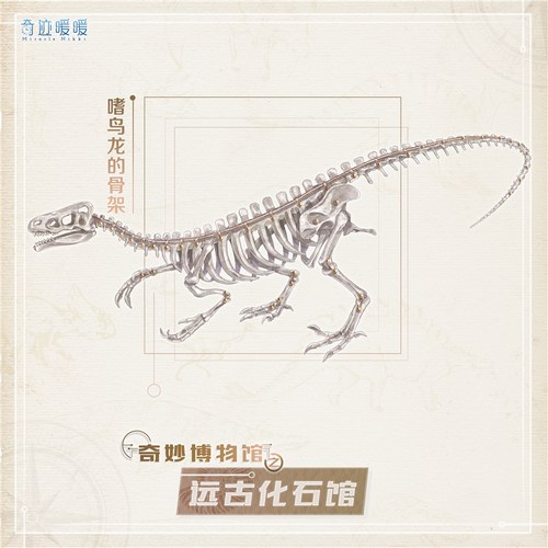 奇迹暖暖博物馆玩法