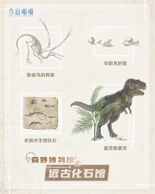 奇迹暖暖博物馆玩法