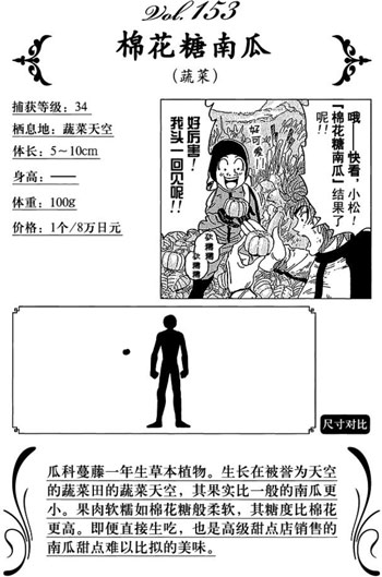 图鉴