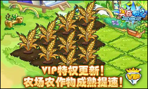 奥奇传说VIP特权更新 VIP不容错过