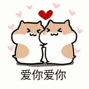 半世界之旅