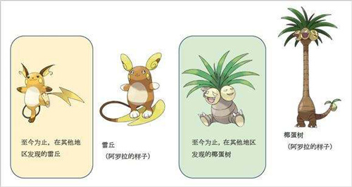 亚种