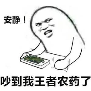 安静！吵到我王者荣耀了