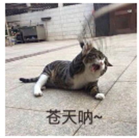 很麻烦