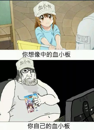 工作细胞