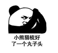 熊猫头表情包