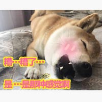 心动的感觉