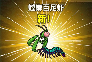 黑暗料理王螳螂百足虾