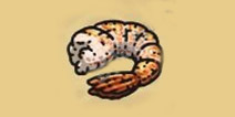 黑暗料理王海虾