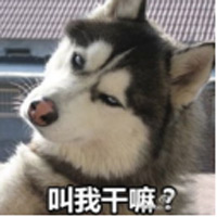 哈士奇