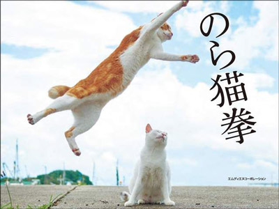 猫拳