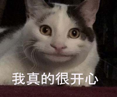 假笑猫咪