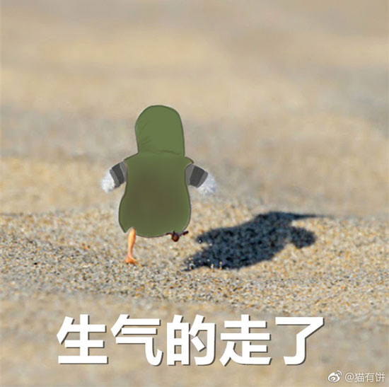 第五人格佣兵