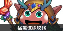 不思议迷宫猛禽试炼攻略 猛禽试炼怎么过