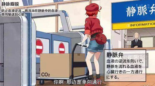 工作细胞