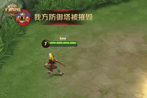 王者荣耀星元皮肤